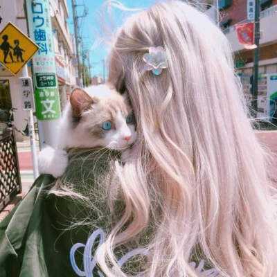 助赢软件下载手机版