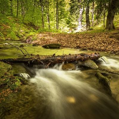 乐宝体育官网登录入口下载手机版